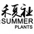 The Summer Plants