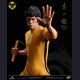 Bruce Lee Tribute: 50th Anniversary