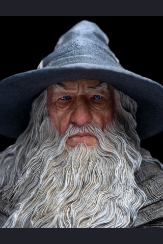 GANDALF THE GREY PILGRIM