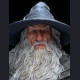 GANDALF THE GREY PILGRIM