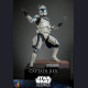 CAPTAIN REX