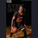 1/6 Action Figure Kyrie Irving (Champion for Cleveland)