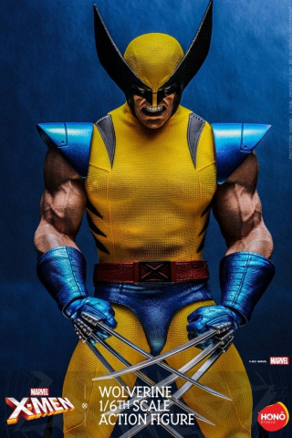 Hot Toys HS01 1/6 Scale X-Men Wolverine