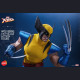 Hot Toys HS01 1/6 Scale X-Men Wolverine