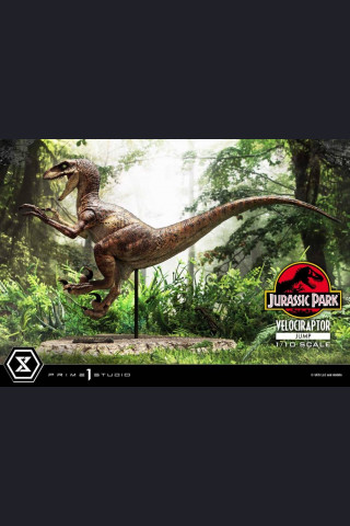 Prime 1 Studio PCFJP-06 Velociraptor Jurassic Park (film)