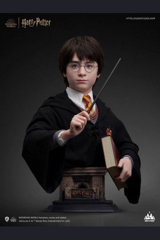 Queen Studios Life-size Harry Porter Bust