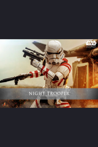 Hot Toys TMS121 1/6 Scale NIGHT TROOPER™