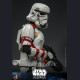 Hot Toys TMS121 1/6 Scale NIGHT TROOPER™