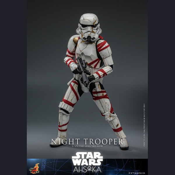 Hot Toys TMS121 1/6 Scale NIGHT TROOPER™