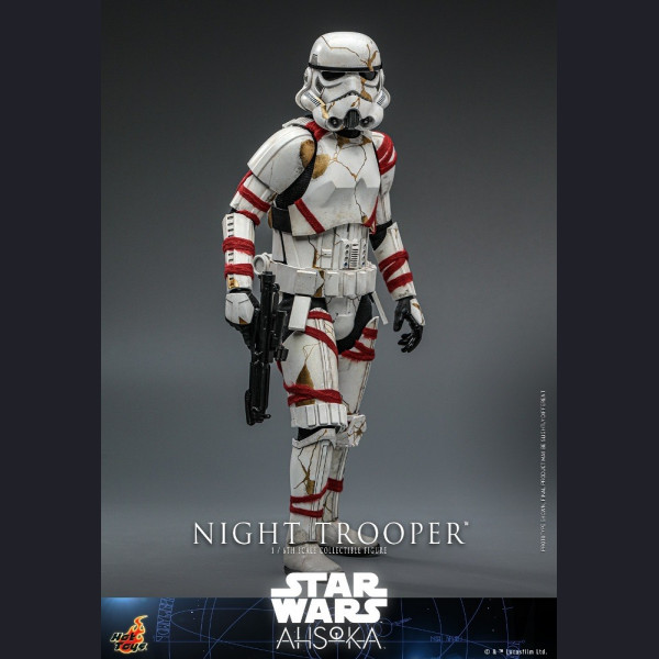 Hot Toys TMS121 1/6 Scale NIGHT TROOPER™