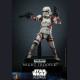 Hot Toys TMS121 1/6 Scale NIGHT TROOPER™