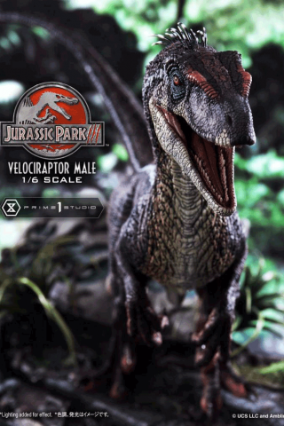 Prime 1 Studio LMCJP-10 1/6 Velociraptor Male - Jurassic Park III (Film)