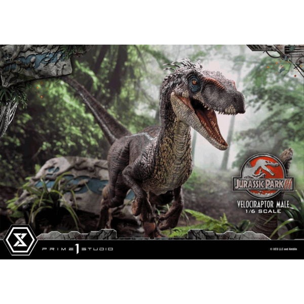 Prime 1 Studio LMCJP-10 1/6 Velociraptor Male - Jurassic Park III (Film)