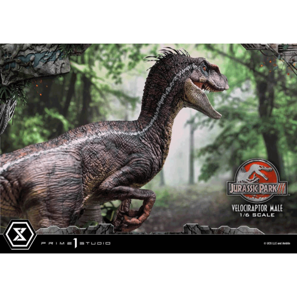 Prime 1 Studio LMCJP-10 1/6 Velociraptor Male - Jurassic Park III (Film)