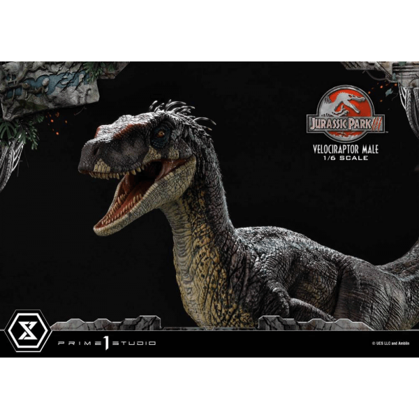 Prime 1 Studio LMCJP-10 1/6 Velociraptor Male - Jurassic Park III (Film)