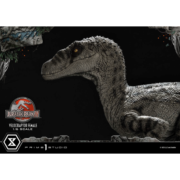 Prime 1 Studio - LMCJP-11 Velociraptor Female - Jurassic Park