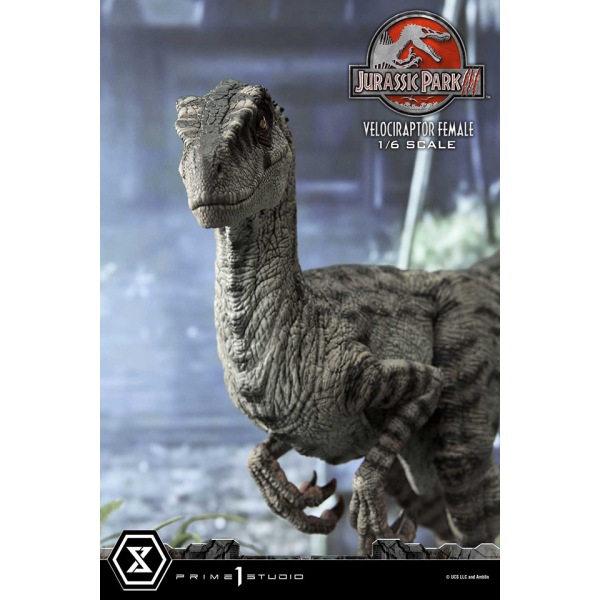 Prime 1 Studio - LMCJP-11 Velociraptor Female - Jurassic Park