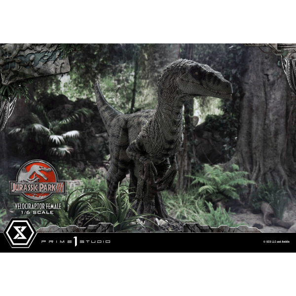 Prime 1 Studio - LMCJP-11 Velociraptor Female - Jurassic Park