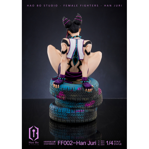 HBS (Hao Bo Studio) - Han Juri - Street Fighter (SF)