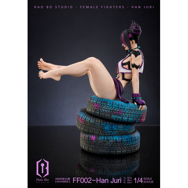 HBS (Hao Bo Studio) - Han Juri - Street Fighter (SF)