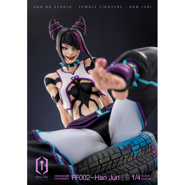 HBS (Hao Bo Studio) - Han Juri - Street Fighter (SF)