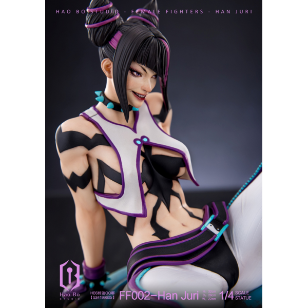 HBS (Hao Bo Studio) - Han Juri - Street Fighter (SF)