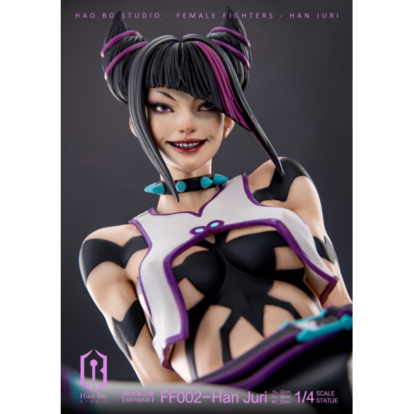 HBS (Hao Bo Studio) - Han Juri - Street Fighter (SF)