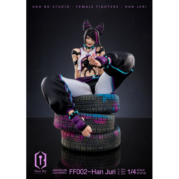 HBS (Hao Bo Studio) - Han Juri - Street Fighter (SF)