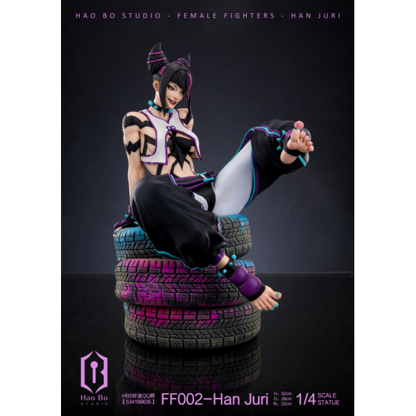 HBS (Hao Bo Studio) - Han Juri - Street Fighter (SF)