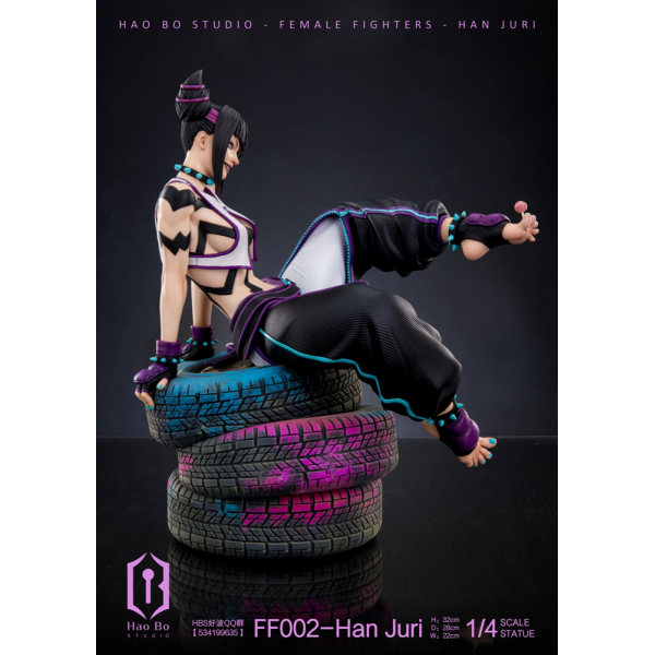 HBS (Hao Bo Studio) - Han Juri - Street Fighter (SF)