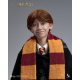 INART - Harry Potter A010S1/ A010D1 1/6 Ron Weasley