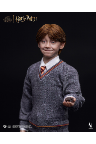 INART - Harry Potter A010S1/ A010D1 1/6 Ron Weasley