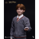 INART - Harry Potter A010S1/ A010D1 1/6 Ron Weasley