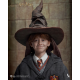 INART - Harry Potter A010S1/ A010D1 1/6 Ron Weasley