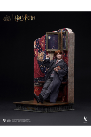 INART - Harry Potter A010S1/ A010D1 1/6 Ron Weasley