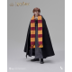 INART - Harry Potter A010S1/ A010D1 1/6 Ron Weasley