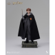 INART - Harry Potter A010S1/ A010D1 1/6 Ron Weasley