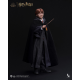 INART - Harry Potter A010S1/ A010D1 1/6 Ron Weasley