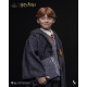 INART - Harry Potter A010S1/ A010D1 1/6 Ron Weasley