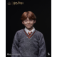 INART - Harry Potter A010S1/ A010D1 1/6 Ron Weasley