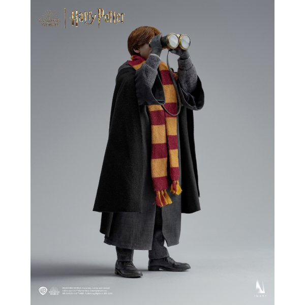 INART - Harry Potter A010S1/ A010D1 1/6 Ron Weasley