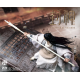 303TOYS - 1/6 YANG JIAN (FABRIC CLOTHING EDITION AND THE RUSHING DOOR PLANK)