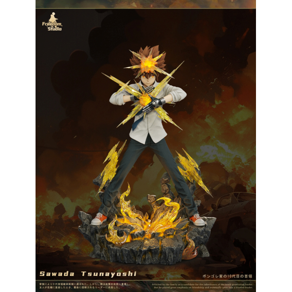 Freedom Studio - Sawada Tsunayoshi - HITMAN REBORN!