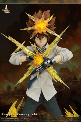 Freedom Studio - Sawada Tsunayoshi - HITMAN REBORN!