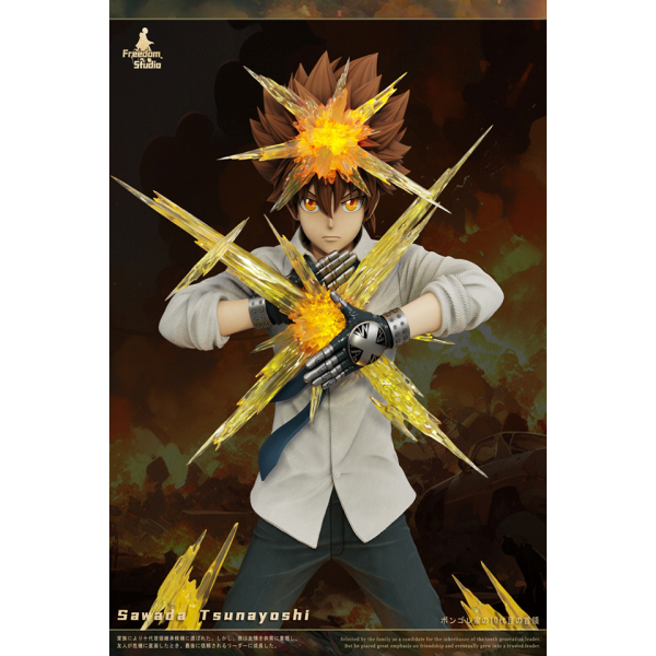 Freedom Studio - Sawada Tsunayoshi - HITMAN REBORN!