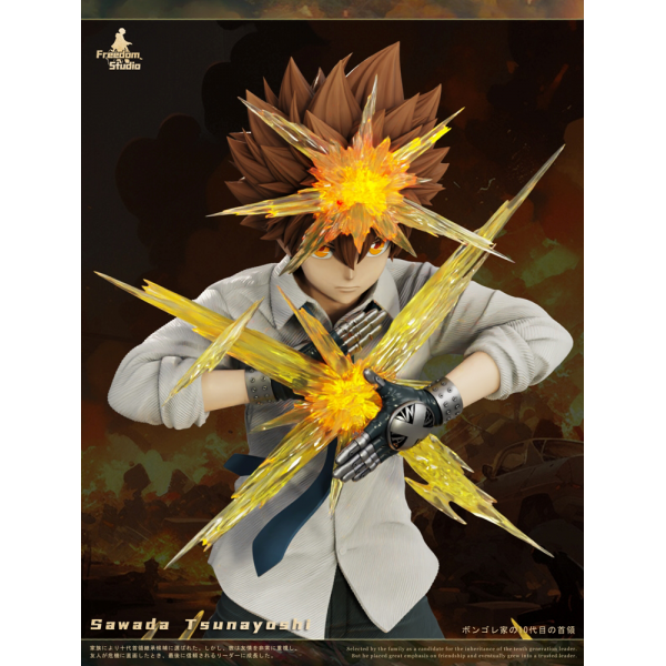 Freedom Studio - Sawada Tsunayoshi - HITMAN REBORN!