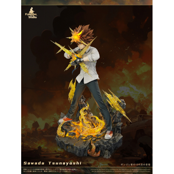 Freedom Studio - Sawada Tsunayoshi - HITMAN REBORN!