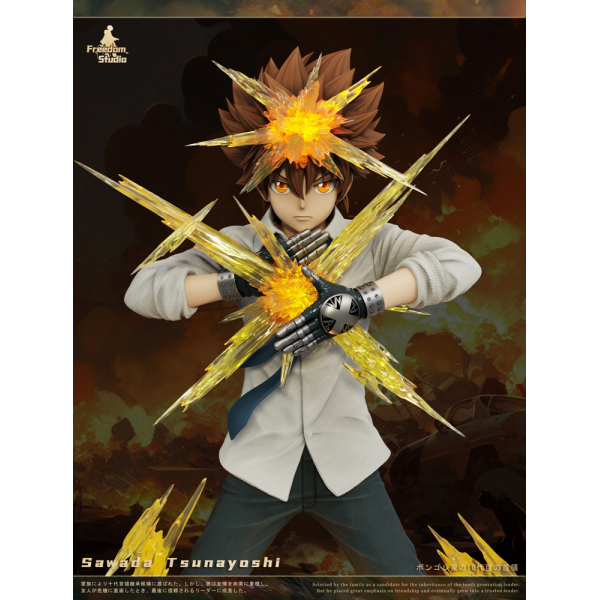 Freedom Studio - Sawada Tsunayoshi - HITMAN REBORN!