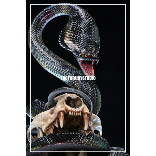 Tooth Fairy Studio - Boning Knife Snake