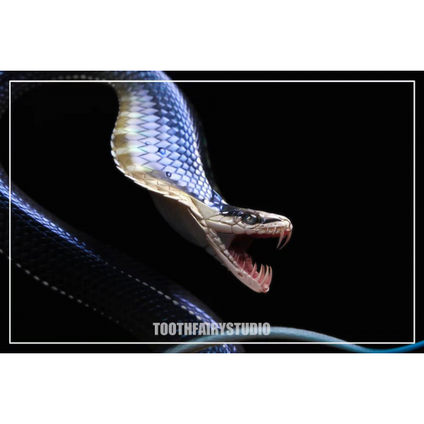 Tooth Fairy Studio - Boning Knife Snake